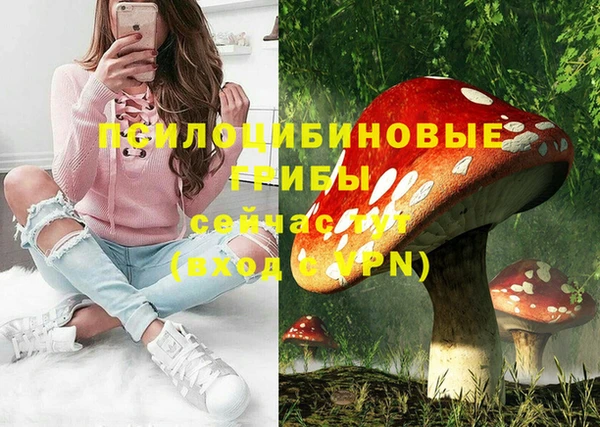 мдпв Приозерск
