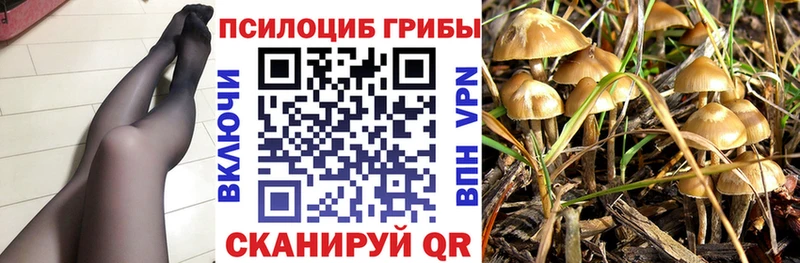 Псилоцибиновые грибы мухоморы  купить наркотики сайты  Талдом 